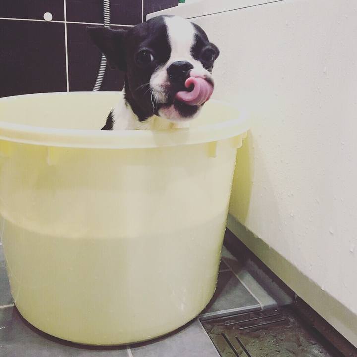 19905f43 60ec 4ad6 ae92 176619a38d33