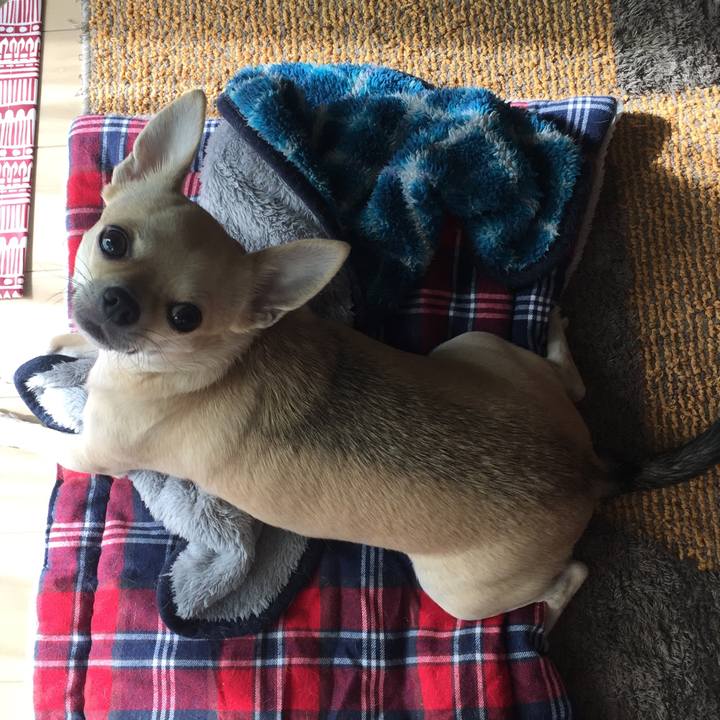 1990fec9 71b3 4a1a a1d8 e9e46ffb01da