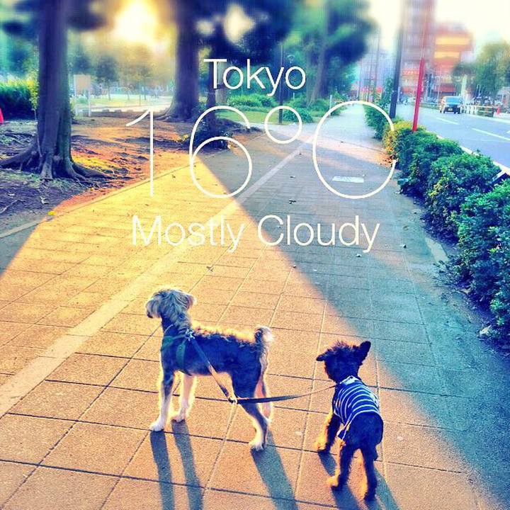 19910cc7 1683 4677 8d3a 09e23f636f9f