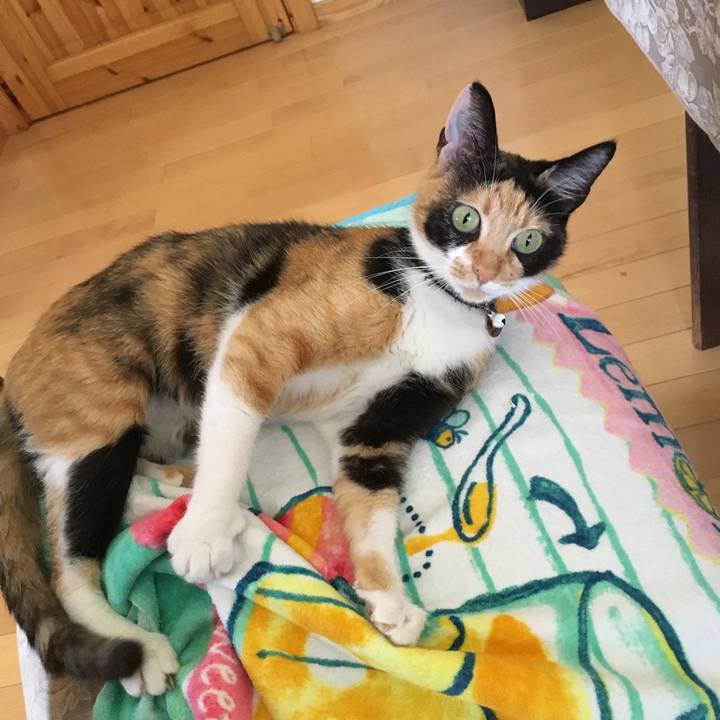 19911053 2bbe 4a89 a14d 9133556b7fdb