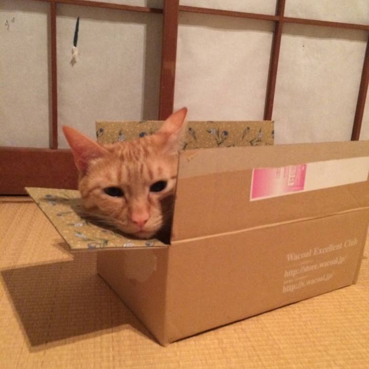 199140cb 3e48 43b2 be22 a9d54a40d9bf