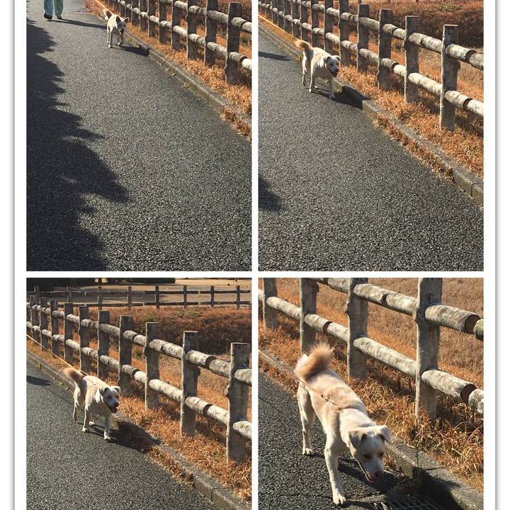 1991ac1f aa89 45eb 9dec 06722bcda1f4