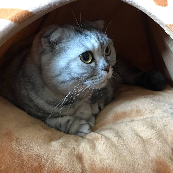 1991eaa5 a573 42d4 83ba d48f2ed145ef