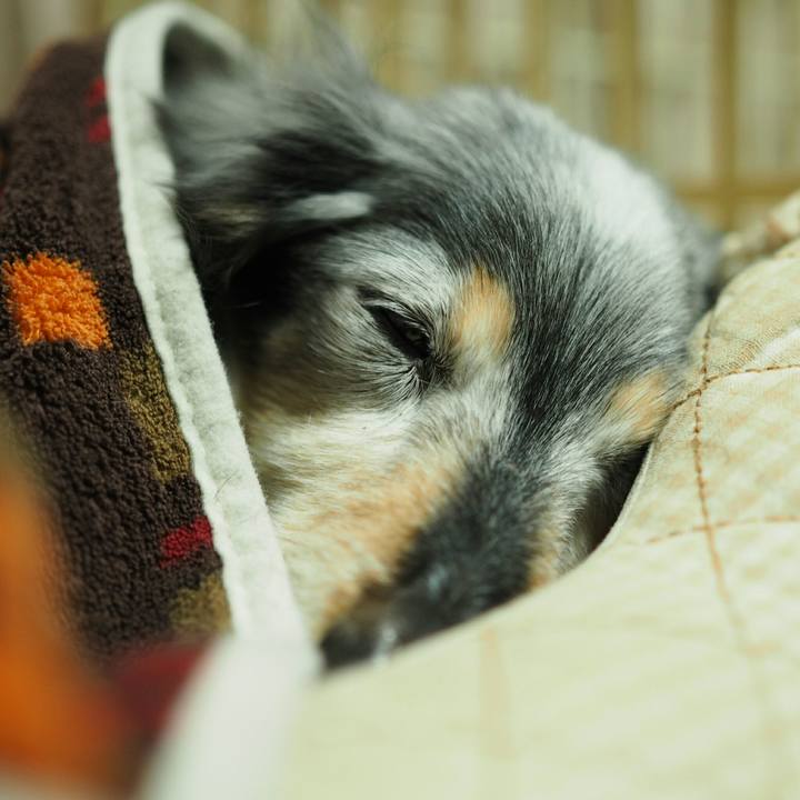 19922cec 434c 4d27 8a38 d4b0c07940b1