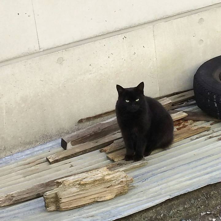 199239da 3001 4f13 a963 b8356d736843