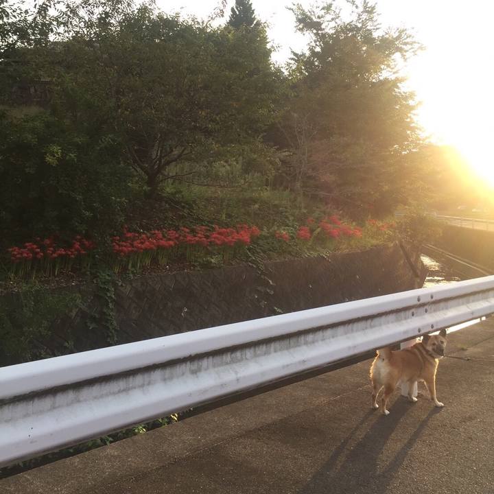 19927a00 2a94 4ea3 affb dd851f72126b