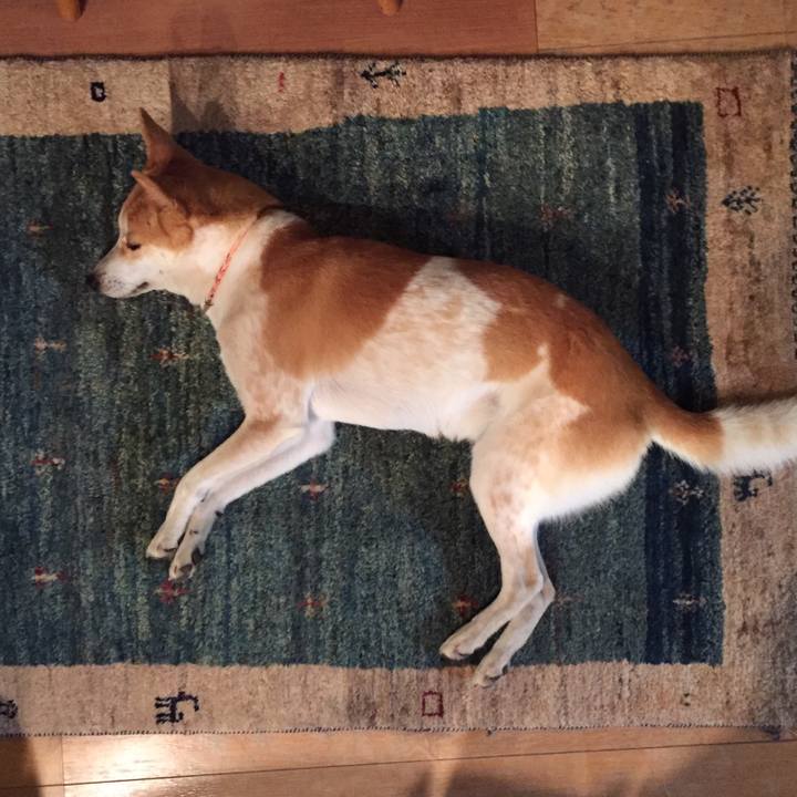 1992aee7 e309 40a5 bf66 4b65b156a8a5