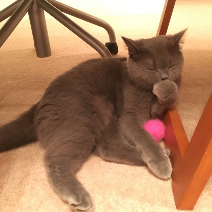 1992ba76 9983 4c94 9495 cdc4fd0c7bf6