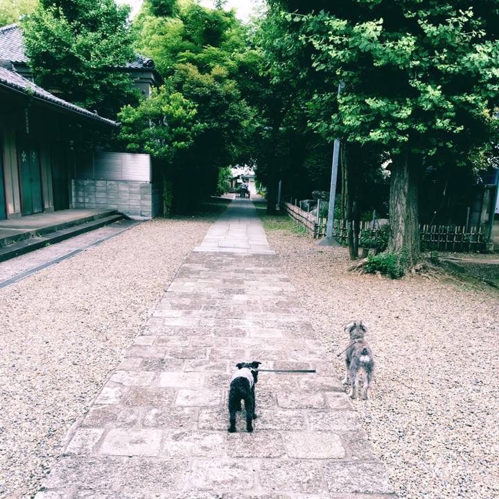 1992d5d6 15be 4332 be73 868167623679