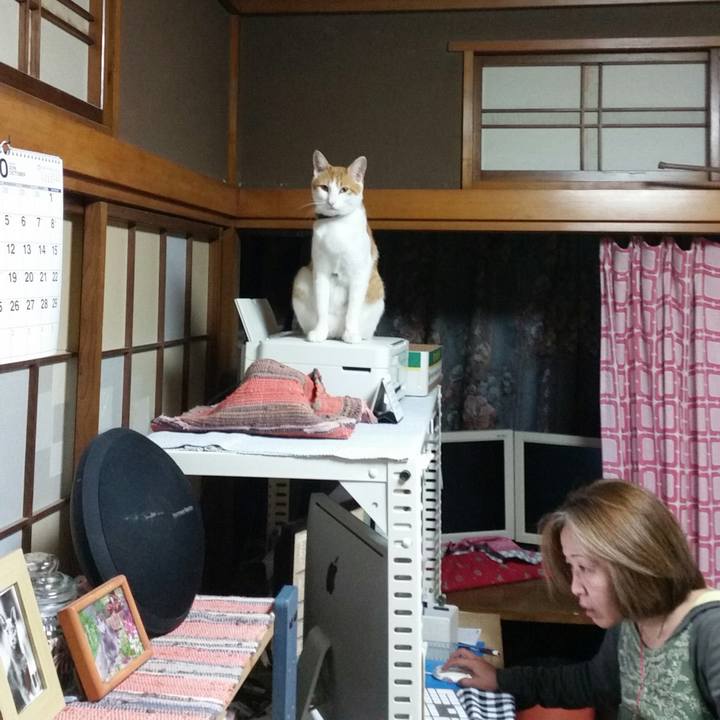 1992ed32 c7da 4cc4 ba47 dd21b3a48315