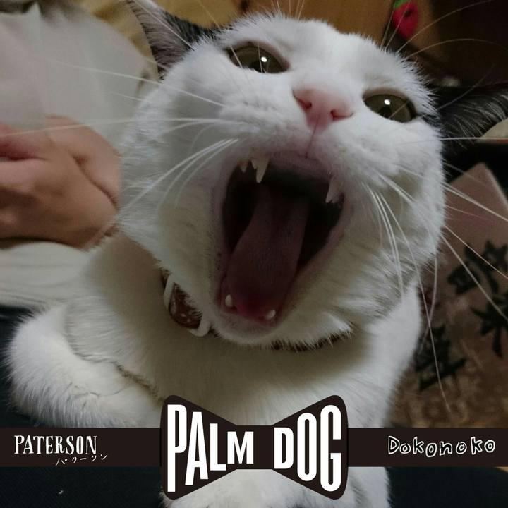 19932cc5 c54b 48bb 9948 a0f757c3b8b9