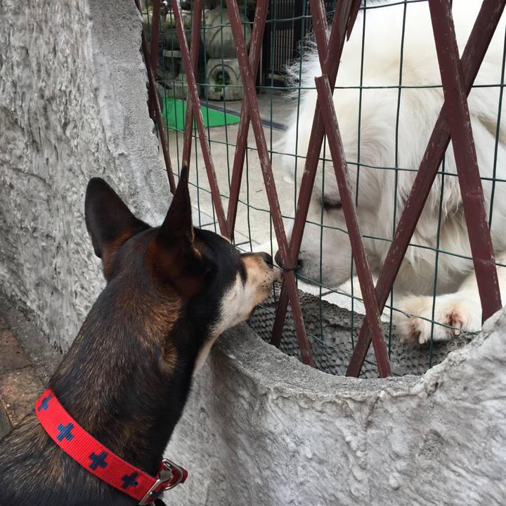 199360c6 fac5 473d 87bf 27bf9f5898bf