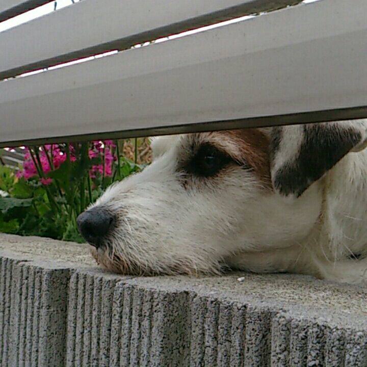 19942ebc d6af 4506 a45e 7d05b755e936