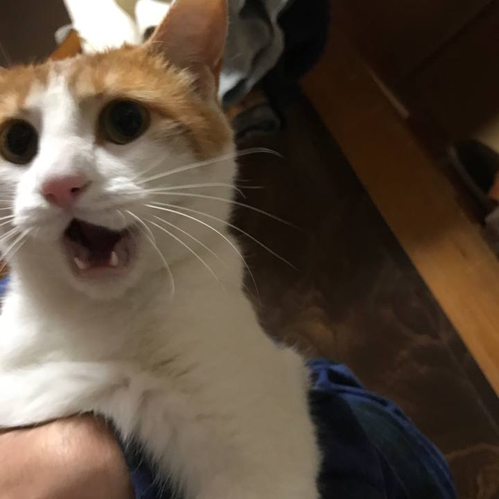 1994a145 fee7 491b a0d2 0946214702f4