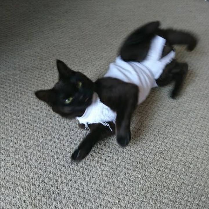 19952eb5 b2ed 4da3 8332 ec2503b7a173