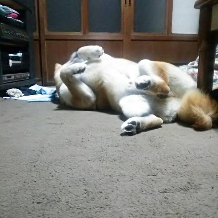 1995b0d2 b5ef 4dd2 a054 835884c5a52b