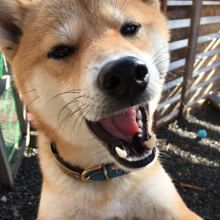 1995e996 72f6 4c47 a2cc 1c8cb371bce3