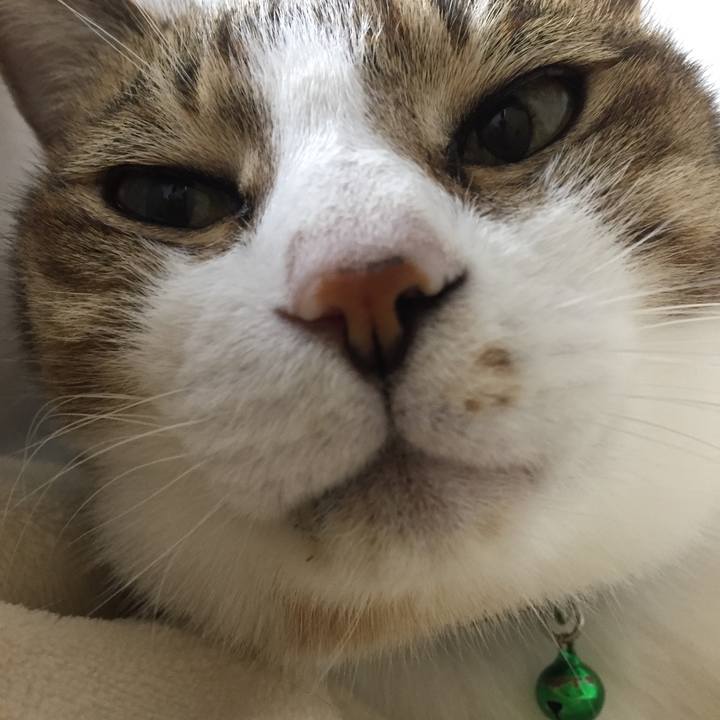 19960fa8 60a3 4338 b7f0 4d45b1a3727b