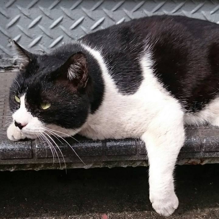 1996fa55 37de 44cb a9d9 b813656c66b2