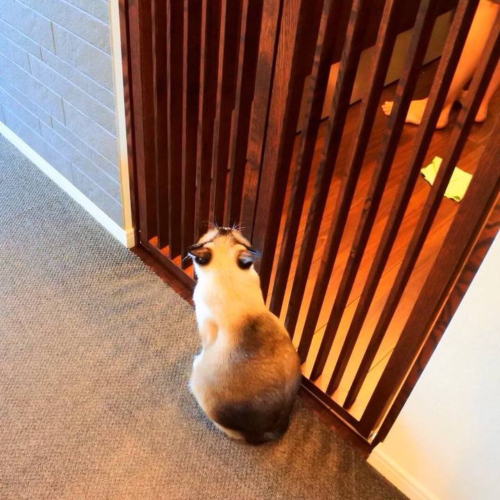 19973307 0fcf 42f8 ae24 4235ede2ad45