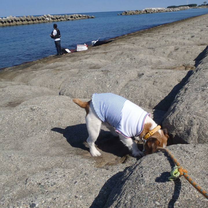 19975705 324e 4589 8585 10b91a3e65e5