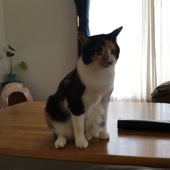 1997cafb 57d4 4c4b a37e 738289a959a0