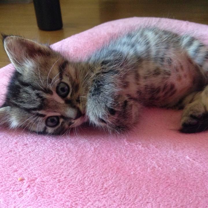 1998b107 f81b 40f3 9093 6e3befd7b35d