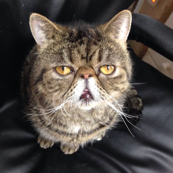 1999aa3e f61e 4a23 ba6b a9baba756293