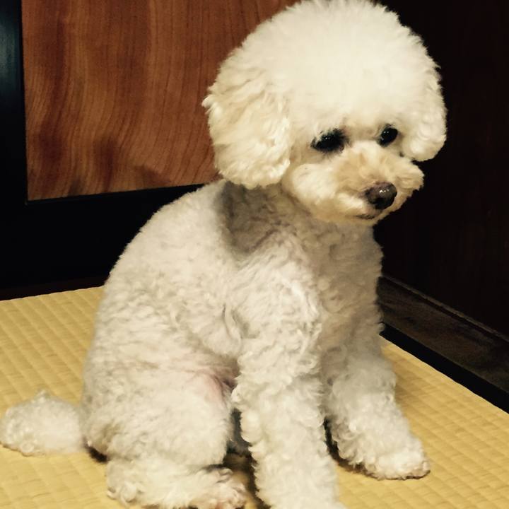 199a42b4 5d13 4bf4 a858 1242e0cf5bca