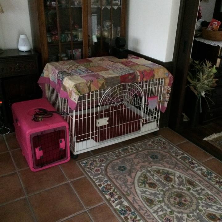 199ae2ea 3b30 4376 82de 6aaea29f228c