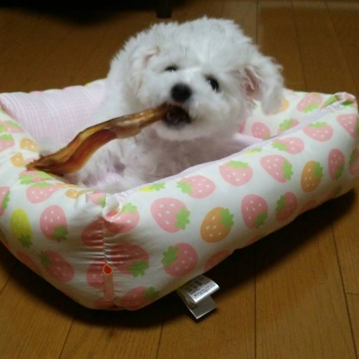 199b5d95 e9d2 4241 ae06 ef0f708c3f01