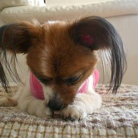 199c4ae7 0dc9 4890 86e2 59d0e8c0eda3