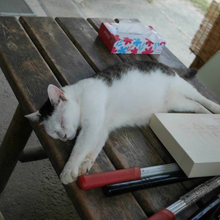 199c766c 23af 47c9 b8ab 5f346ffeaa40