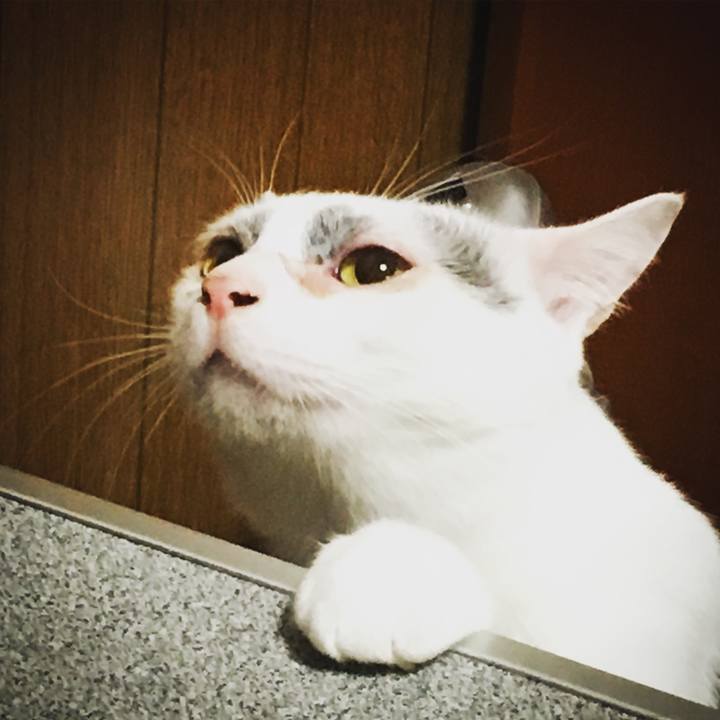 199c9bed 8bab 45a1 804b f6b447ce687d