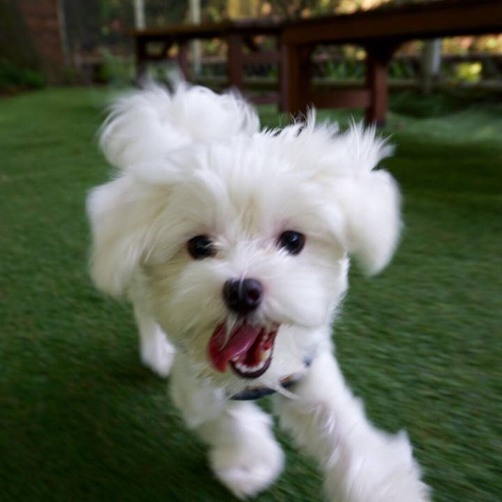 199d13cf 578e 4b96 a9e6 28b3ec16372b