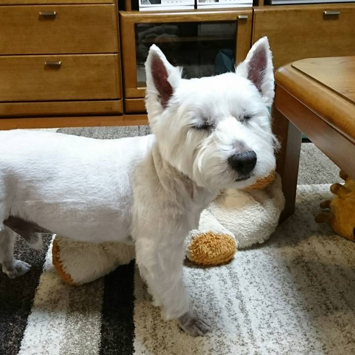 199e0ddb c765 4cb2 b841 a6d46d9d5945