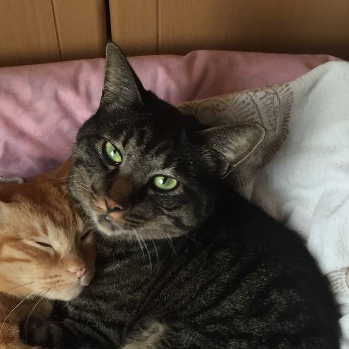 199e1acc 6397 49e7 a39e f2d27ab92787