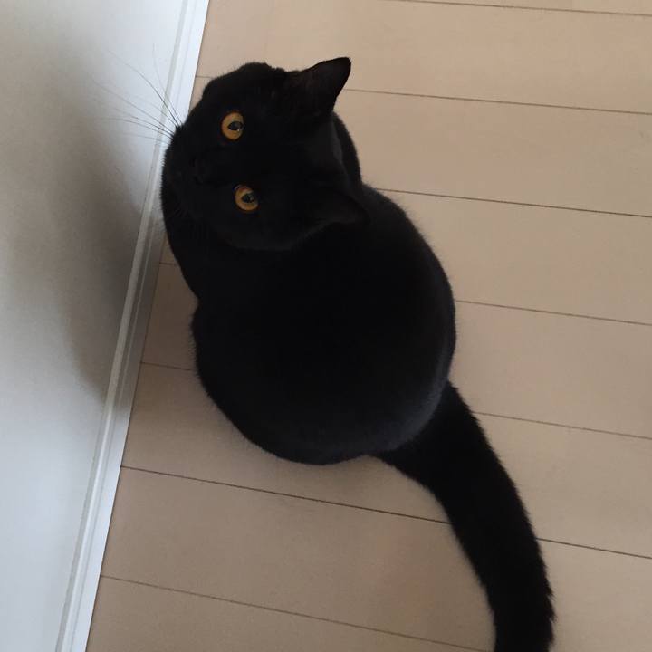 199e9f92 9d61 42f5 9cee a4bf60034f29