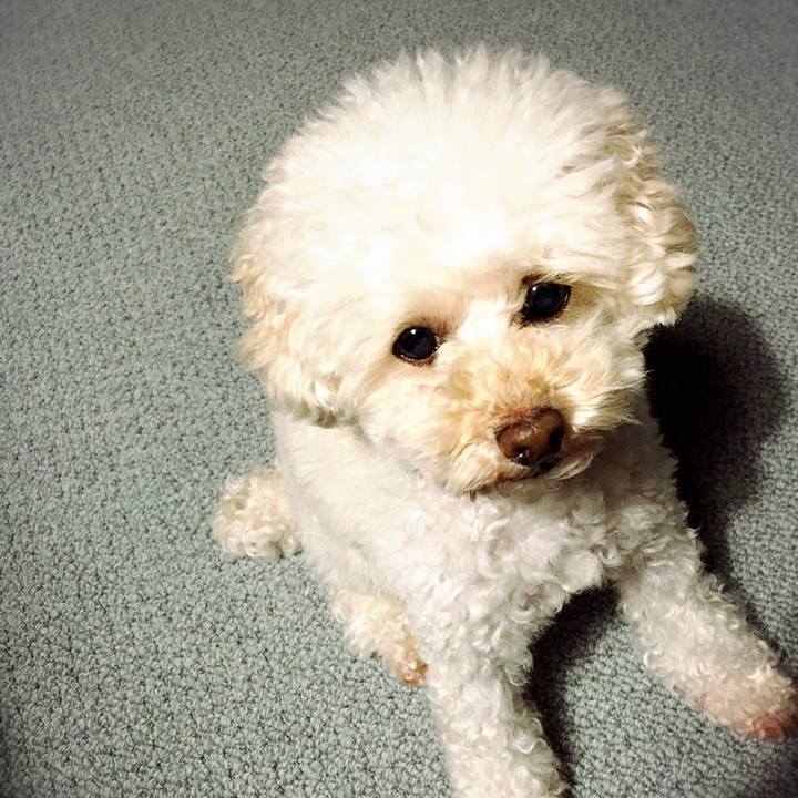 199f2119 417d 4a73 9c69 58e0afc0ae92