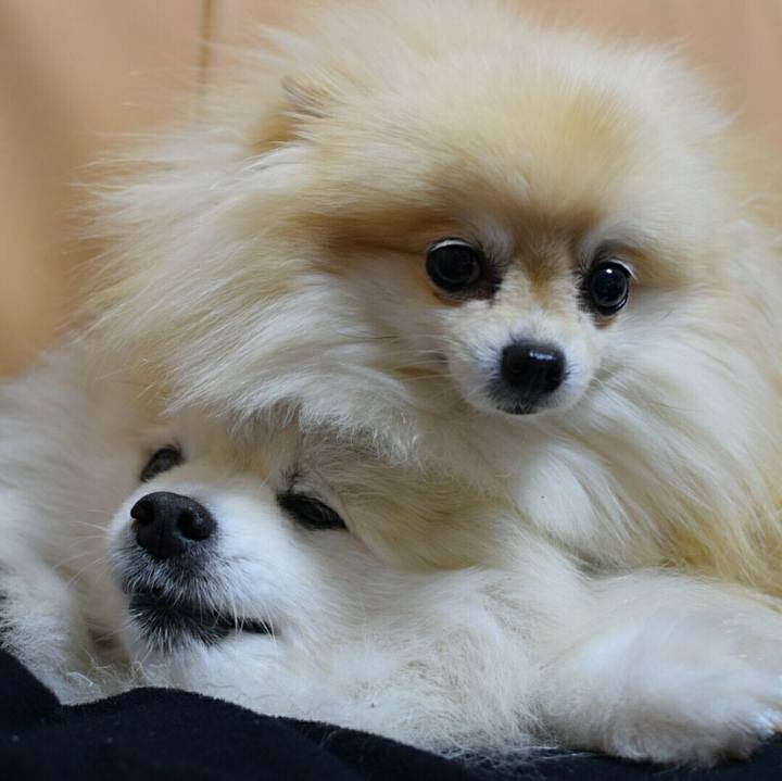 199f32aa 938b 466e 9390 5ea5e40a8649