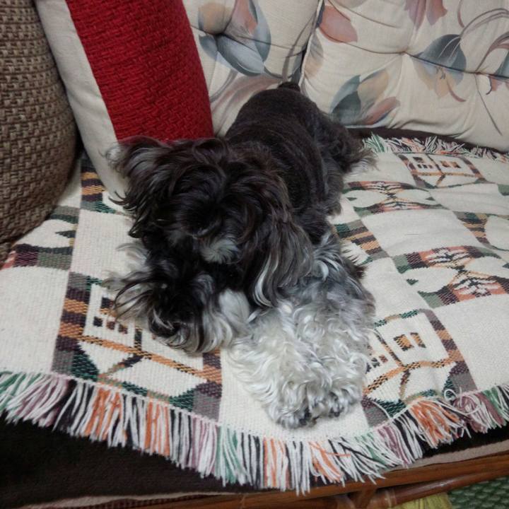 199f96c4 b410 45a8 b193 092dfe677013