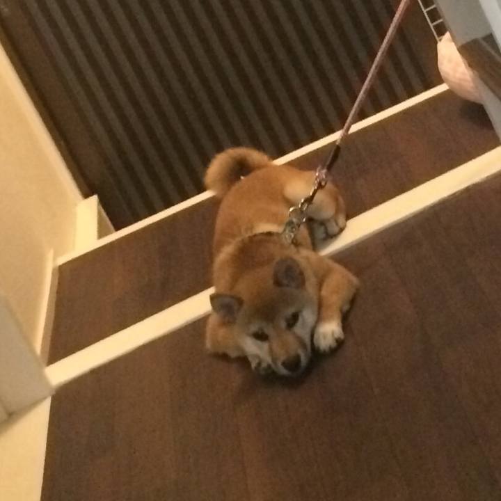 199f9818 589e 47d3 ae00 66e0600f050e