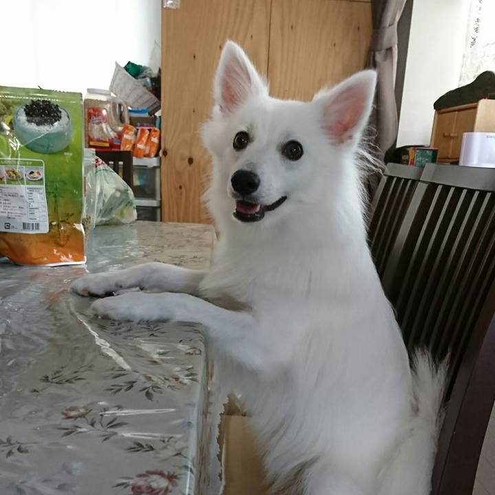 19a0d6f7 54b9 4a18 a48f 59133bc556c2