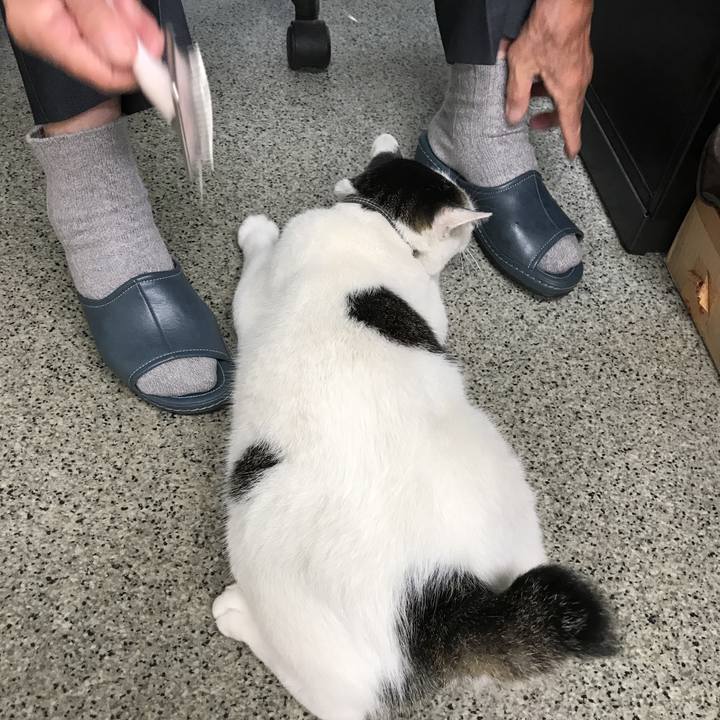 19a14f2b cc56 466c bbbc af9be7bfde59