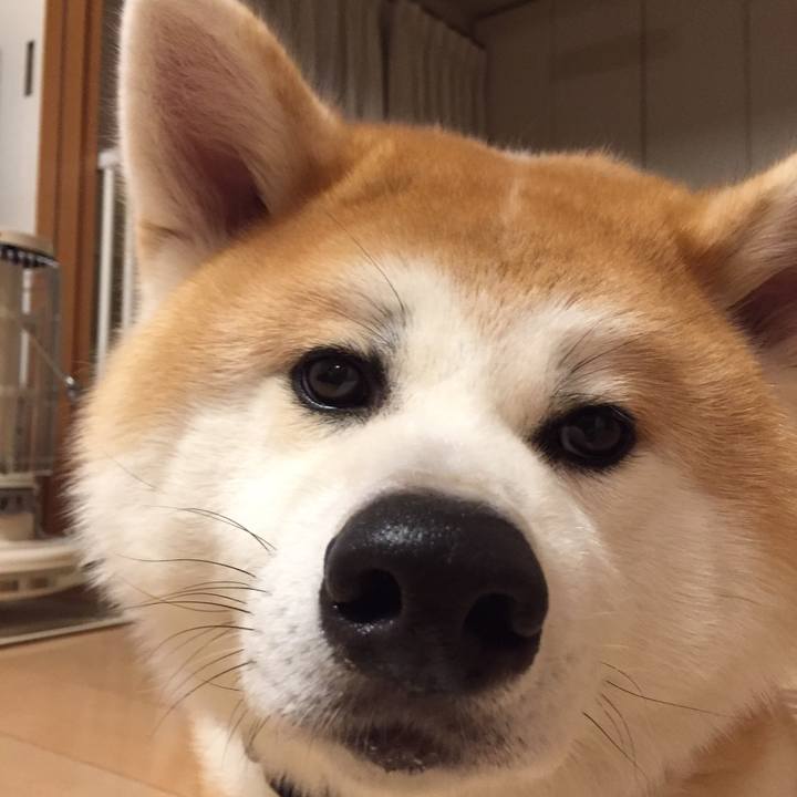 19a1bd96 e158 41b5 bfa9 13402caff48e