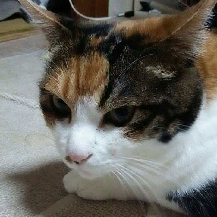 19a21a7d 9c01 4eac 9ba2 8ee3a866ff35