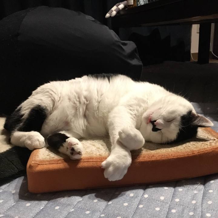 19a25a8c fe7d 4cde 8db9 82635e73cd46