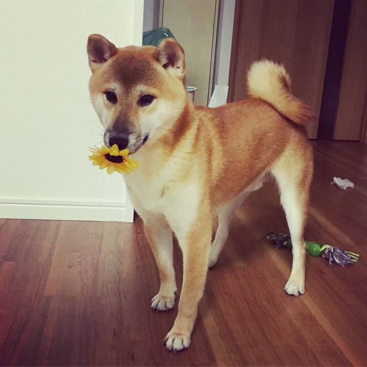 19a2b33c aab3 4889 adf0 2d99248b8774