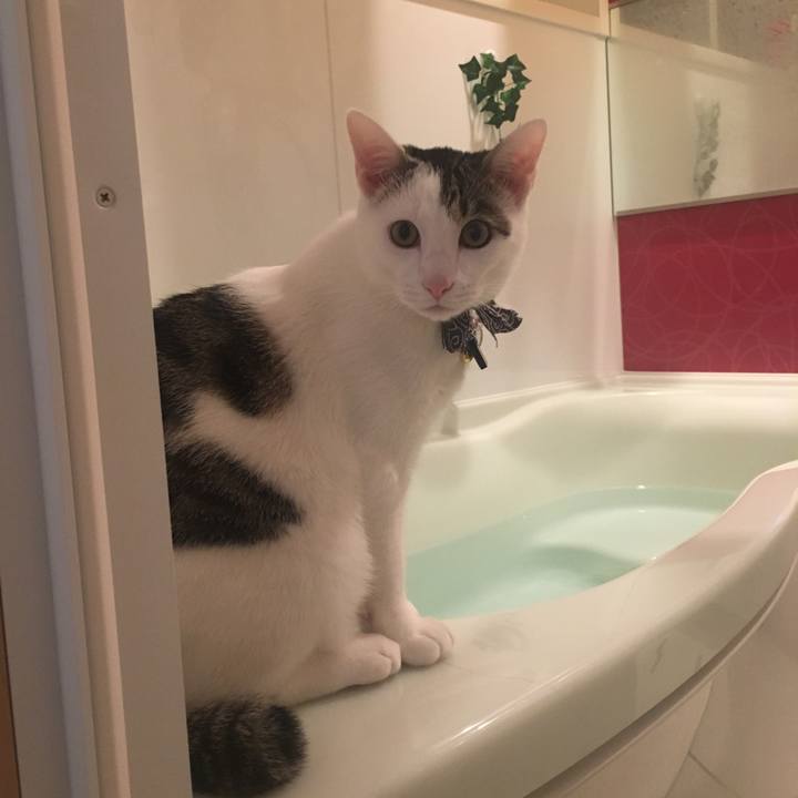 19a2fbd5 f149 4df5 af21 0c77915aed6d