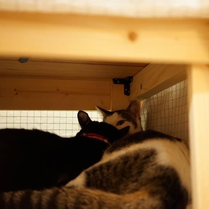 19a35dfe 905a 4863 9662 fab35f4f3d70